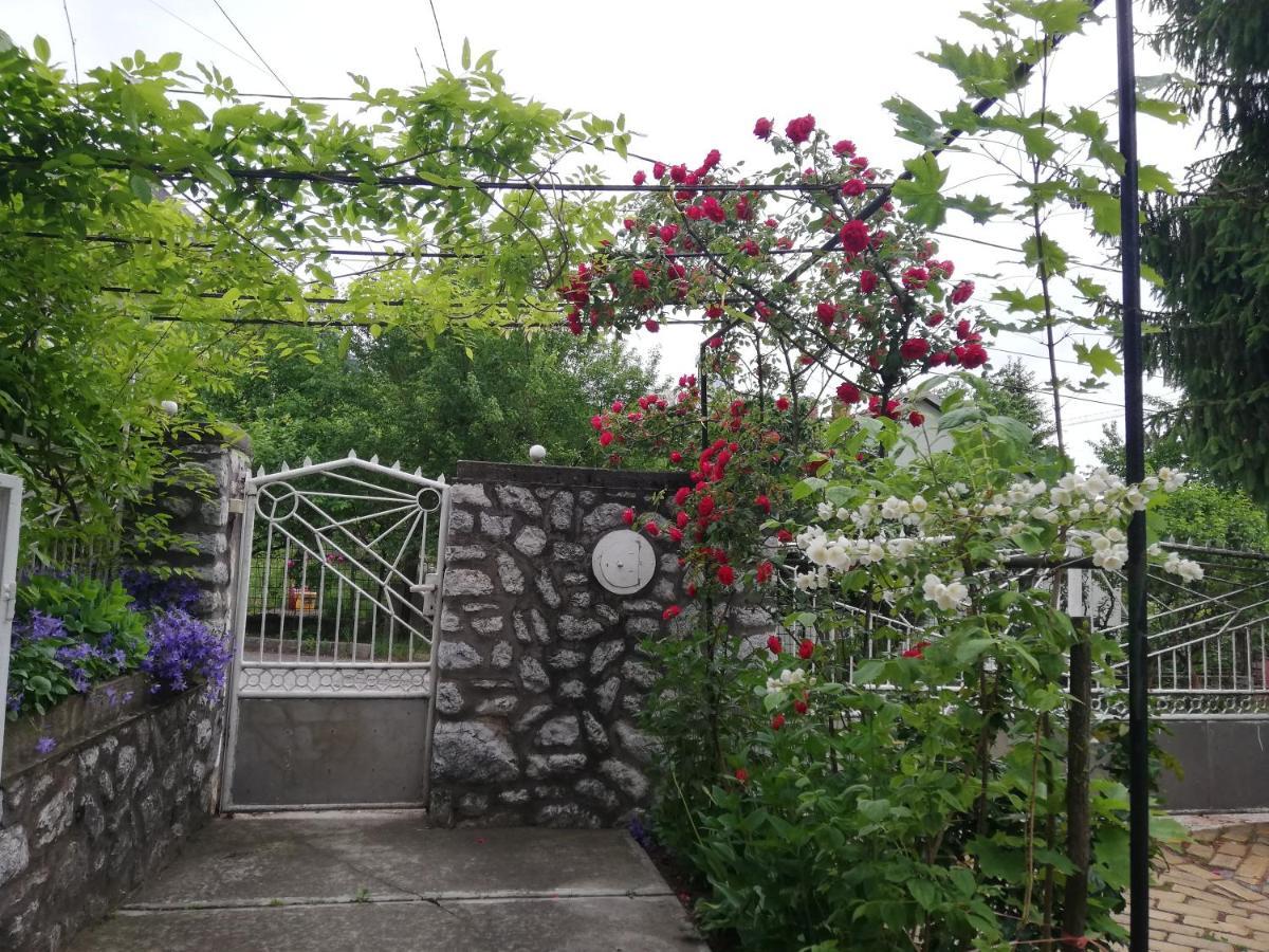 Fuege Vendeghaz Hotel Mişcolţ Exterior foto