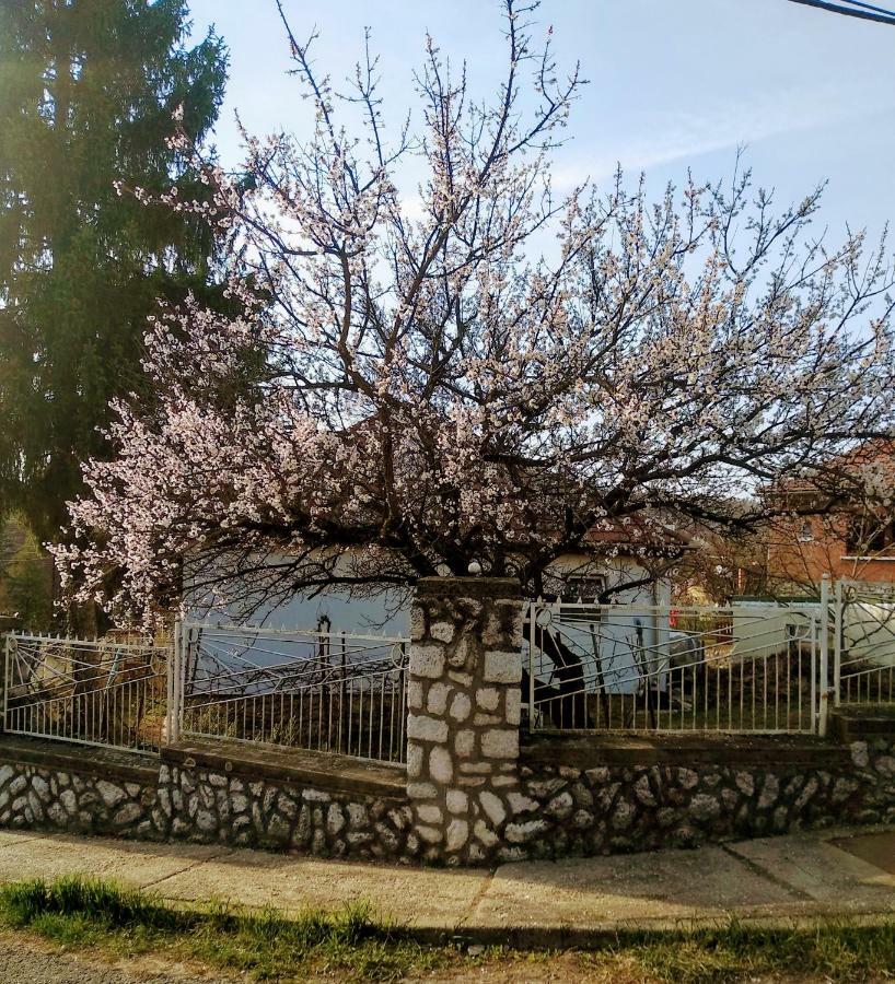 Fuege Vendeghaz Hotel Mişcolţ Exterior foto